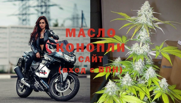 молекула духа Покров