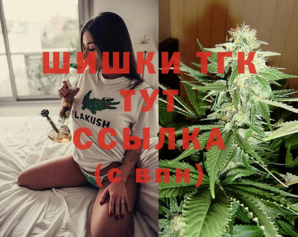 молекула духа Покров