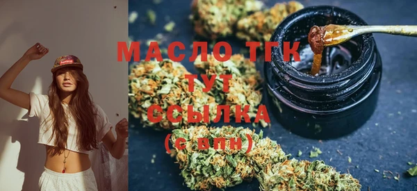 твердый Слюдянка
