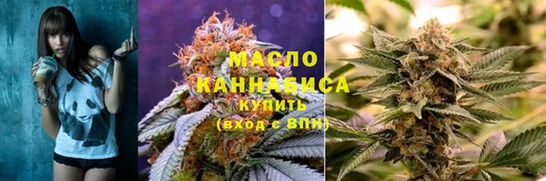 молекула духа Покров