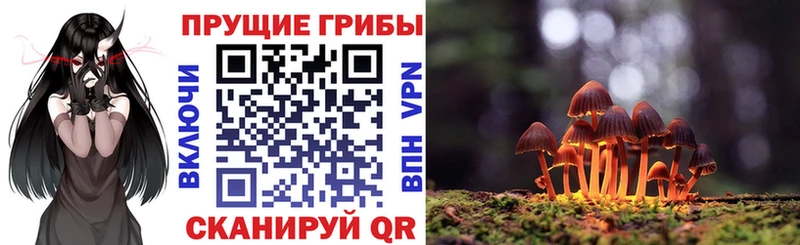 Галлюциногенные грибы Cubensis  купить наркоту  Североуральск 