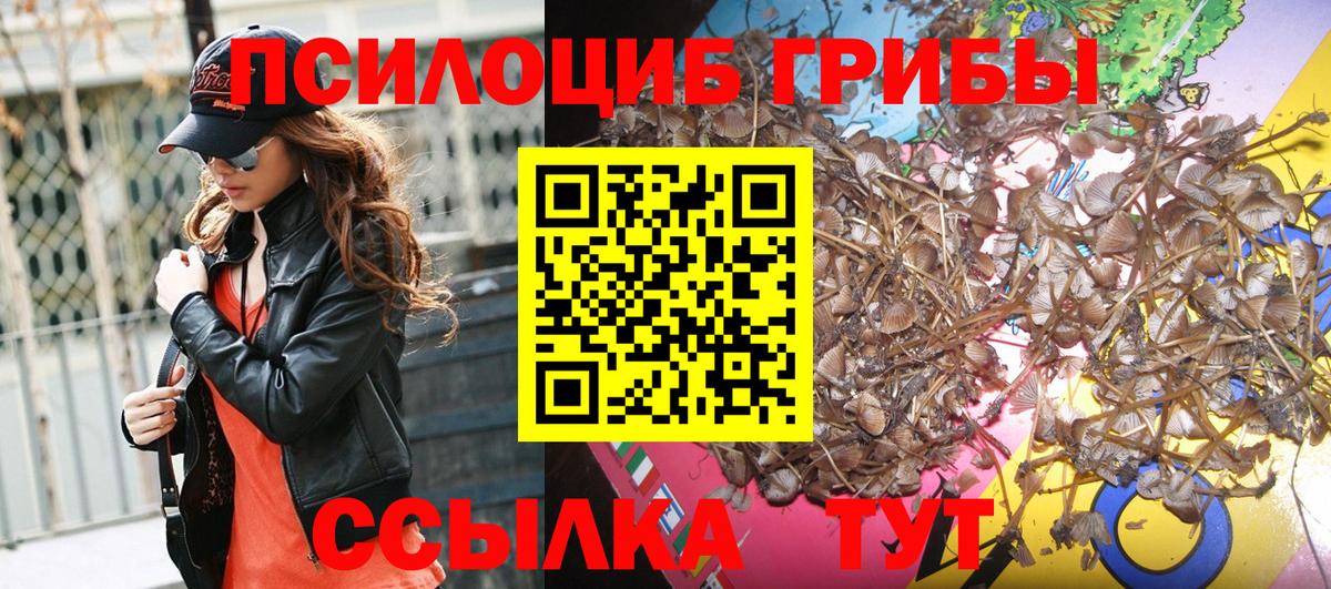 Североуральск  Галлюциногенные грибы Cubensis  Вход с VPN 