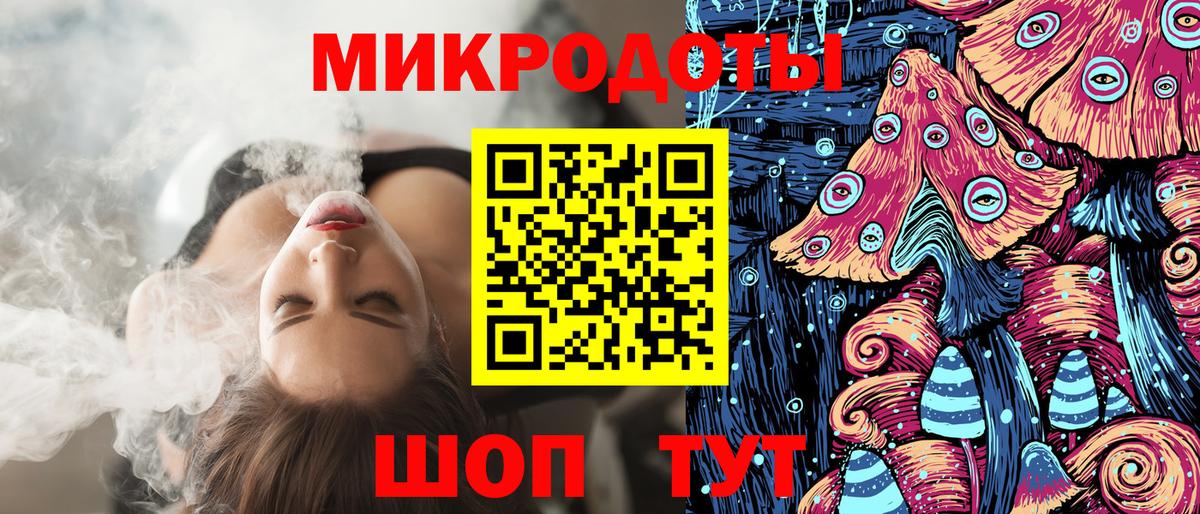 Галлюциногенные грибы Psilocybine cubensis Североуральск